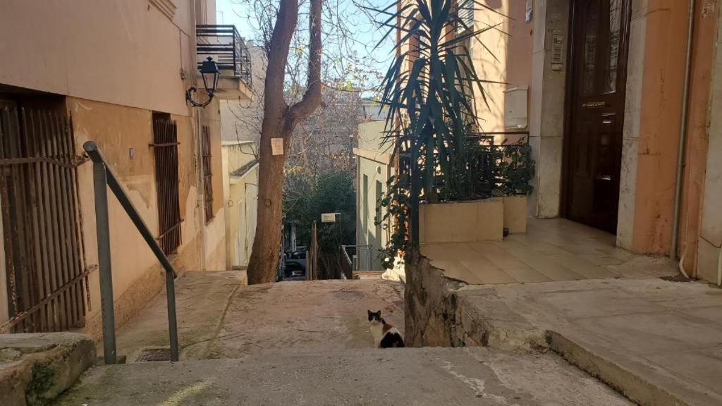 Athens City Center Luxury Suites Экстерьер фото